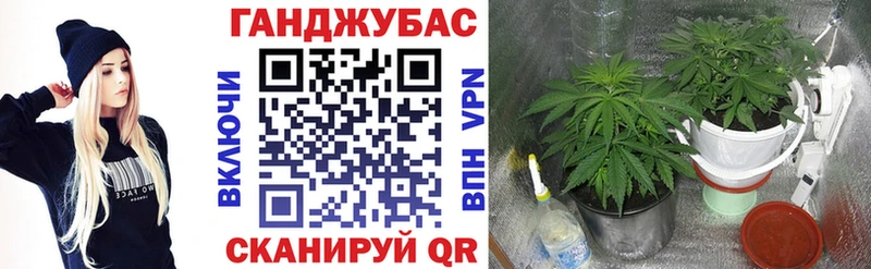 Где найти наркотики Инта COCAIN  omg онион  Амфетамин  Конопля  Гашиш  Мефедрон 