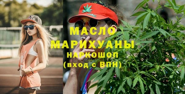 дмт Ельня