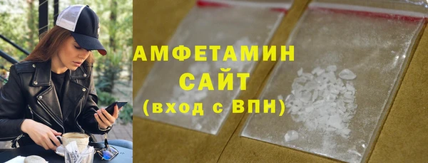 дмт Ельня