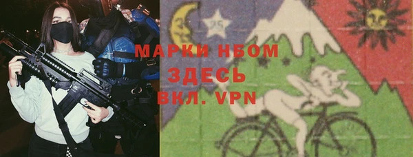 индика Елабуга