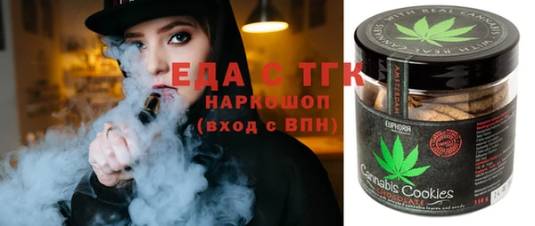 индика Елабуга