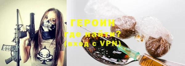 индика Елабуга