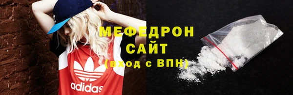 индика Елабуга