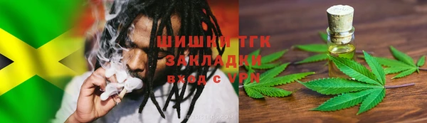 индика Елабуга
