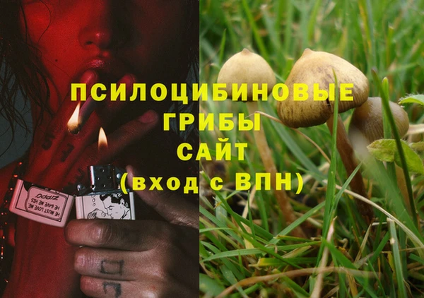 дмт Ельня