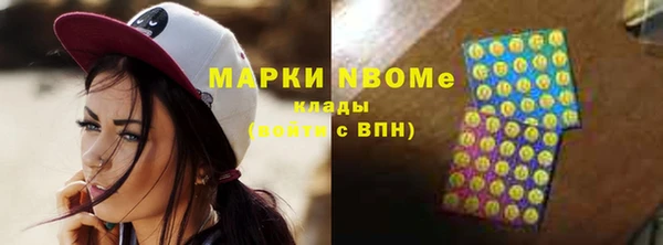 дмт Ельня