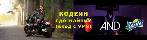дмт Ельня