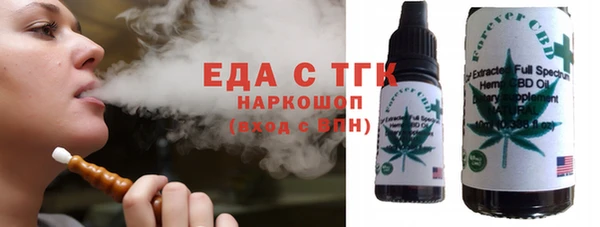 индика Елабуга