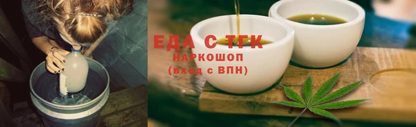 индика Елабуга