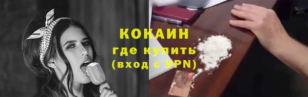 дмт Ельня