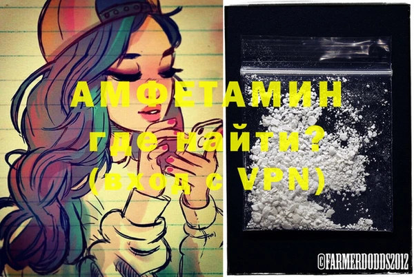 дмт Ельня