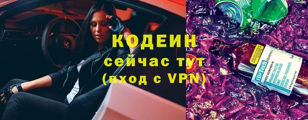 индика Елабуга