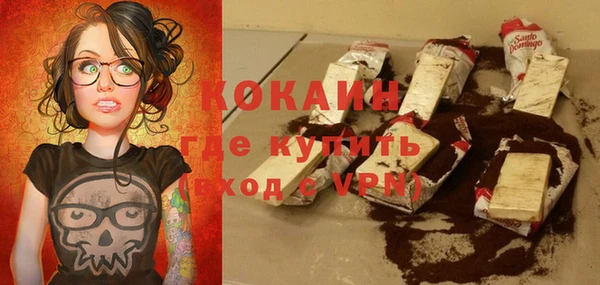 индика Елабуга