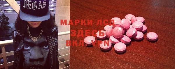 индика Елабуга