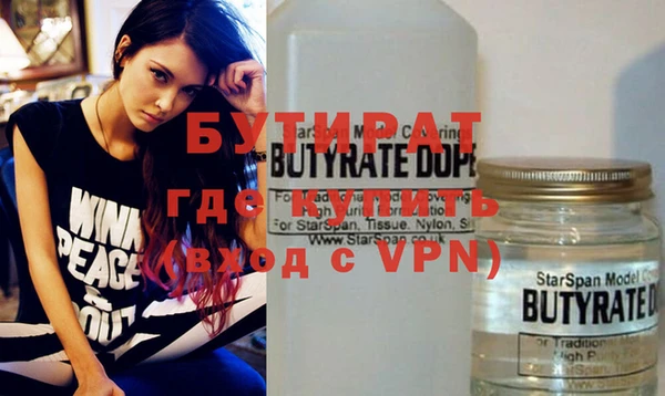 индика Елабуга