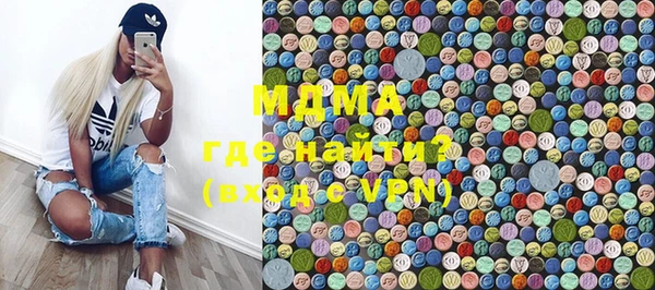 индика Елабуга