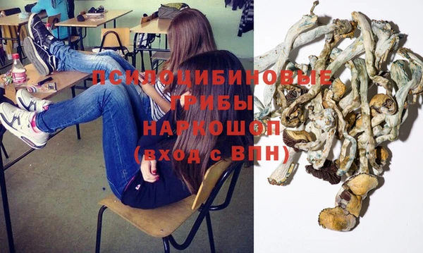 дмт Ельня