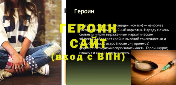 индика Елабуга