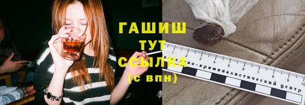 индика Елабуга