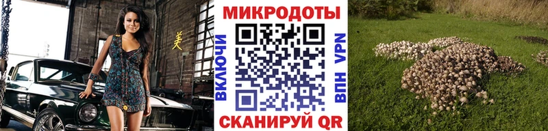 Псилоцибиновые грибы Magic Shrooms  omg сайт  Инта 