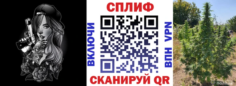 Канабис Amnesia  где купить наркотик  Инта 